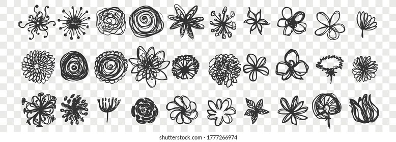 Hand drawn flowers doodle set. Collection of pen ink pencil drawing sketches meadow field garden plants isolated on transparent background. Illustration of spring or summer symbols.