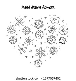 Hand drawn flowers. Doodle style. Vector illustration isolated on white background