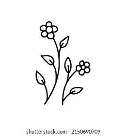 Flores dibujadas a mano. Ilustración vectorial Doodles. Aislado sobre un fondo blanco.