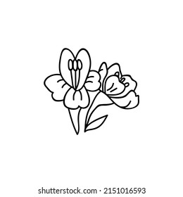 Handgezeichnete Blumen. Doodles, Vektorgrafik. Einzeln auf weißem Hintergrund.