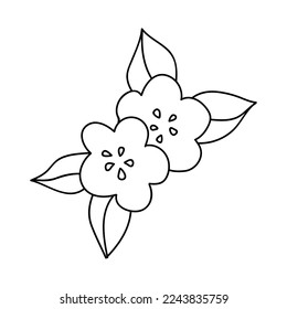 Flores dibujadas a mano. Ilustración vectorial Doodles. Aislado sobre un fondo blanco.