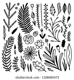 Hand drawn flowers, floral elements, branches, leaves and plants set