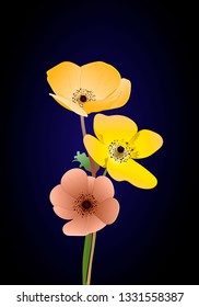 Hand drawn flowers. Floral elements on black background. Design frame with vector botanical elements.