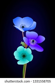 Hand drawn flowers. Floral elements on black background. Design frame with vector botanical elements.