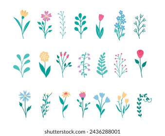 Hand drawn flowers and floral elements isolated on white background. Spring natural decorations for design of cards and invitations.