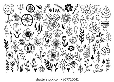 Hand drawn flowers and floral elements design set. Nature decorative vector illustrations