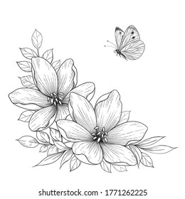 Hand drawn flowers and flying butterfly isolated on blank background. Black and white plant and insect. Vector monochrome elegant floral composition in vintage style, tattoo design, coloring page.