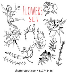 Hand drawn flowers. Graphic vector set