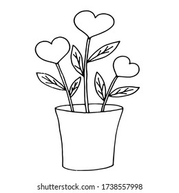 Hand drawn Flowers hearts in a pot. icon isolated on a white background. Valentine day concept.