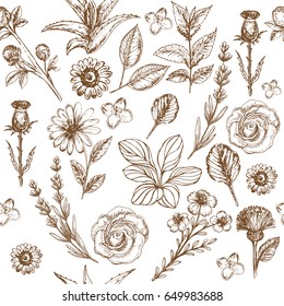 hand drawn flowers and herbal seamless pattern