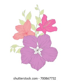 Hand drawn flowers and leaves