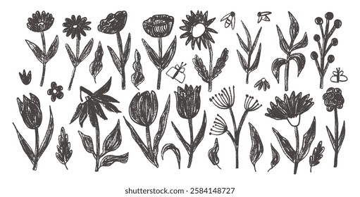 Hand drawn flowers and leaves set. Charcoal linocut poppy, tulip, daisy doodle monochrome. Floral aster and marguerite kids chalk style shape. Vector black pencil illustration on white background.