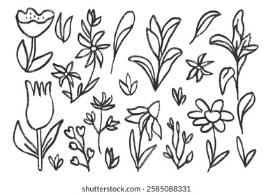 Hand drawn flowers and leaves set. Charcoal line poppy, tulip, daisy doodle monochrome. Floral outline brush chamomile and marguerite kids chalk style shape. Vector black pencil illustration.