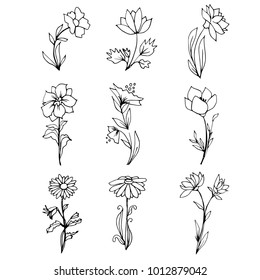 Hand drawn flowers with leaves and stems. Black and white line art. Graphic vector illustration.