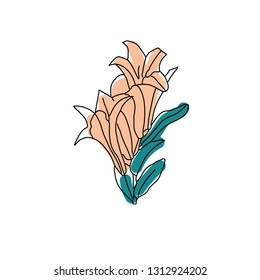 Hand Drawn Flowers Lilies on a white background. Isolated vector illustration in line art style. Template card, invitation, banner, tattoo, design element.