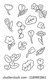 Hand drawn flowers drawn line collection