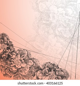 hand drawn flowers on pink background