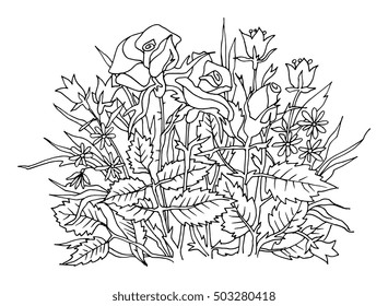 Hand drawn flowers on white background, vector illustration