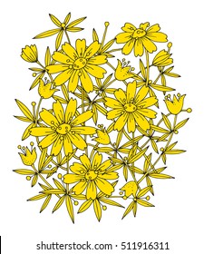 Hand drawn flowers on white background, vector illustration
