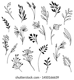 Hand drawn flowers, plants, herbs.  tree branches with leaves. Black and white botanical illustration. Graphic design elements. Vector image.