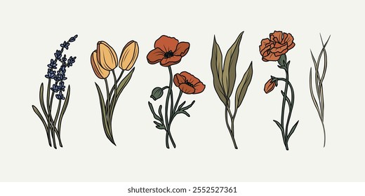 Hand drawn flowers and plants. Lavender, tulip, poppy, eucalyptus, carnation