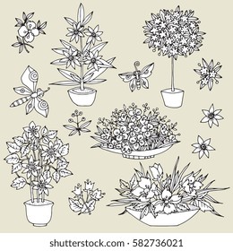 Hand drawn flowers and plants. Vector illustration
