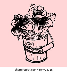 Hand Drawn Flowers in a Pot