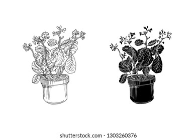 hand drawn flowers in pot positive   negative vector illustration