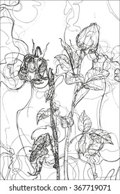 Hand drawn flowers roses for the anti stress coloring page. Vect