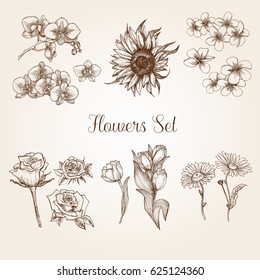 Hand drawn flowers set