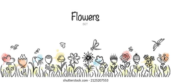 Hand Drawn Flowers Set With Bees, Ladybirds and Dragonflies 
