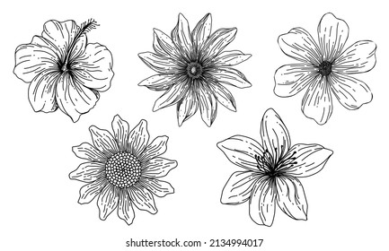 hand drawn flowers set ilustration. can be used for peony tatto, coloring books, invitations, posters, print design. floral background in line art style
