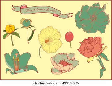Hand drawn flowers set isolated 