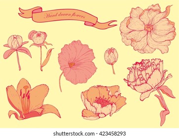 Hand drawn flowers set isolated 