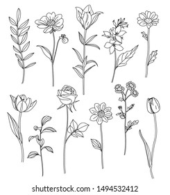 Hand drawn flowers. Set of sketches of different summer flowers. Rose, tulip, dahlia, lily, chamomile and leaves line art. Vector illustration