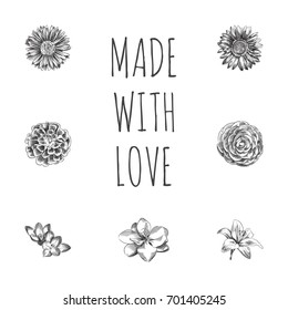 Hand Drawn Flowers Sketches Set. Collection Of Helianthus, Calendula, Saffron And Other Sketch Elements.
