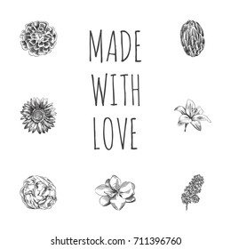 Hand Drawn Flowers Sketches Set. Collection Of Helianthus, Calendula, Flower And Other Sketch Elements.