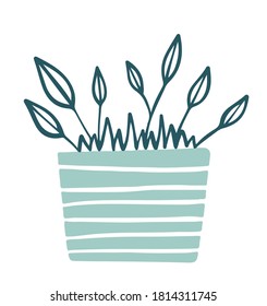 hand drawn flowers in vases home decor doodle