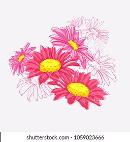 Hand Drawn Flowers Vector Illustration, Daisies from the field.  