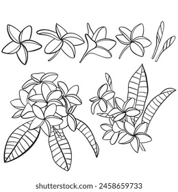hand drawn flowers. vector illustration