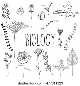  Hand drawn flowers. Vector monochrome herbs and elements of nature. Vector collection of plants.
