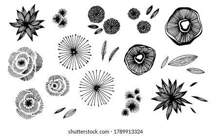 Hand drawn flowers vector set. Black isolated floral elements collection