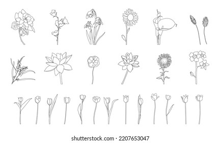 Hand drawn flowers vector set. Suitable for websites, Social media and layouts, Stickers, Banners, Art and collages, General use cases. Vector.