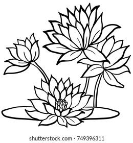 Hand drawn flowers vector set