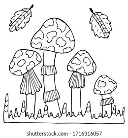 Hand drawn fly agaric mushrooms on a white isolated background. Coloring book for children and adults. Simple outline antistress drawing.