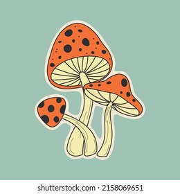 Hand drawn of fly agaric mushrooms. Colored modern trendy vector illustration. Flat design.