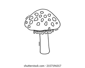 Hand drawn fly-agaric doodle icon. Amanita mushroom. Poisonous toadstool fly agaric. Hand drawn doodle.