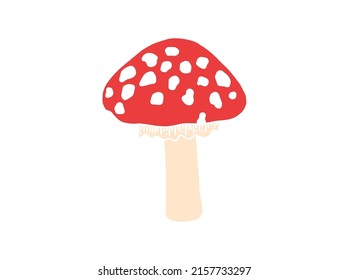 Hand drawn fly-agaric doodle icon. Amanita mushroom. Poisonous toadstool fly agaric. Hand drawn doodle.