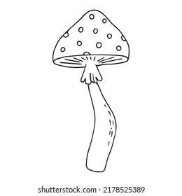 Hand drawn fly-agaric doodle icon. Amanita mushroom. Poisonous toadstool fly agaric. Hand drawn doodle.