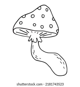 Hand drawn fly-agaric doodle icon. Amanita mushroom. Poisonous toadstool fly agaric. Hand drawn doodle.